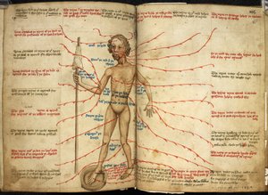 Harley 3719، ff.158v-159 صورة مصغرة لرجل سفك الدماء بقدم واحدة في وعاء نزيف ومغزل في يده ، رسم توضيحي من "منوعات بها نصوص فلكية وتقويمية وطبية وفلسفية مختلفة" بواسطة مدرسة اللغة الإنجليزية