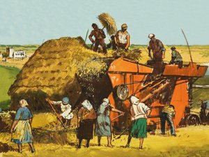 حصاد القمح بواسطة مدرسة اللغة الإنجليزية