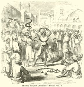 Hindoo Serpent Charmers ، مزمور ، لفي ، 5 بواسطة مدرسة اللغة الإنجليزية