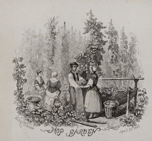 Hop garden (engraving) بواسطة مدرسة اللغة الإنجليزية