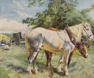 Horses taking a break from work on a farm (colour litho) بواسطة مدرسة اللغة الإنجليزية