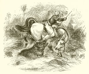 كيف يتم اصطياد الخنازير البرية بواسطة مدرسة اللغة الإنجليزية