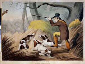 Hunting a beak in England. Watercolour engraving of the 19th century. Gien, hunting museum. بواسطة مدرسة اللغة الإنجليزية