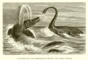 Ichthyosaurus و Plesiosaurus ، نظام Oolitic و Liassic بواسطة مدرسة اللغة الإنجليزية