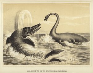 مشهد مثالي من Lias مع Ichthyosaurus و Plesiosaurus بواسطة مدرسة اللغة الإنجليزية