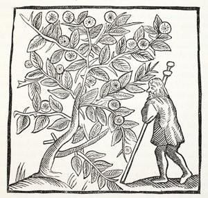 جوزيف من Arimathea و Glastonbury Thorn ، التوضيح من كتب الفصل الثاني عشر للكاتب جون أشتون ، حانة. 1882 بواسطة مدرسة اللغة الإنجليزية