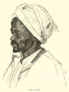ذكر النوبي بواسطة مدرسة اللغة الإنجليزية