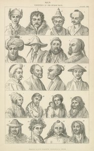 Man. Varieties of the human race (engraving) بواسطة مدرسة اللغة الإنجليزية