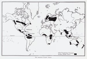 Map showing forest areas (litho) بواسطة مدرسة اللغة الإنجليزية