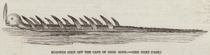 Monster seen off the Cape of Good Hope (engraving) بواسطة مدرسة اللغة الإنجليزية