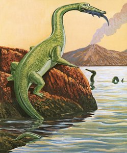 Nathosaurus تناول وجبة بواسطة مدرسة اللغة الإنجليزية