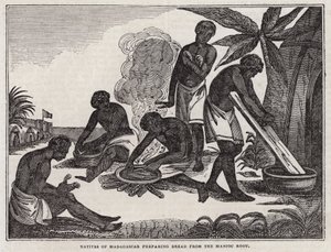 Natives of Madagascar preparing bread from manioc root (engraving) بواسطة مدرسة اللغة الإنجليزية