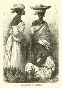 Negresses in Guiana (engraving) بواسطة مدرسة اللغة الإنجليزية