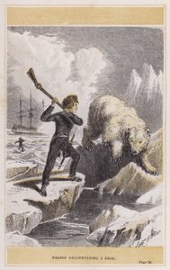 Nelson encountering a bear (coloured engraving) بواسطة مدرسة اللغة الإنجليزية