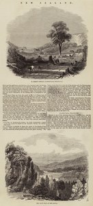 New Zealand (engraving) بواسطة مدرسة اللغة الإنجليزية