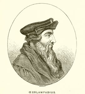 Oecolampadius بواسطة مدرسة اللغة الإنجليزية