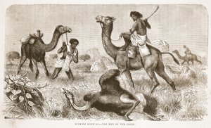صيد النعام- نهاية المطاردة ، رسم توضيحي من الطبعة التصويرية للحياة واكتشافات ديفيد ليفينغستون بقلم جيه إيوينج ريتشي ، الحانة. بقلم أ. فولارتون وشركاه ، 1876 بواسطة مدرسة اللغة الإنجليزية
