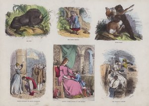 صفحة من كتاب الصور الجذاب (نقش ملون) بواسطة مدرسة اللغة الإنجليزية