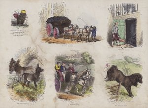 صفحة من كتاب الصور الجذاب (نقش ملون) بواسطة مدرسة اللغة الإنجليزية
