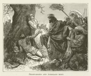 يلتقي Pharnabazus و Agesilaus