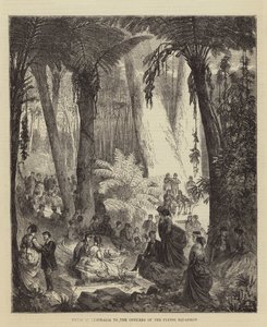 Picnic in Australia to the Officers of the Flying Squadron (engraving) بواسطة مدرسة اللغة الإنجليزية