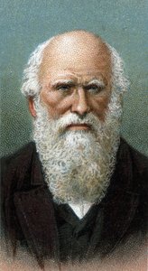 صورة تشارلز روبرت داروين (1809-1882) - من سلسلة "قادة الرجال" - الطباعة الحجرية الملونة - المدرسة الإنجليزية ، القرن العشرين - بواسطة مدرسة اللغة الإنجليزية
