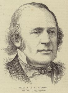 Professor L J R Agassiz (engraving) بواسطة مدرسة اللغة الإنجليزية