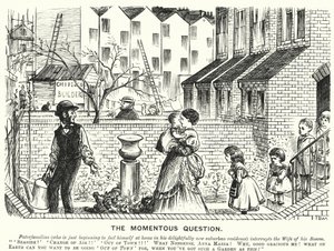 Punch cartoon: The Momentous Question (engraving) بواسطة مدرسة اللغة الإنجليزية