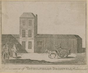 تمثيل Brothewell حقول Tothill بواسطة مدرسة اللغة الإنجليزية