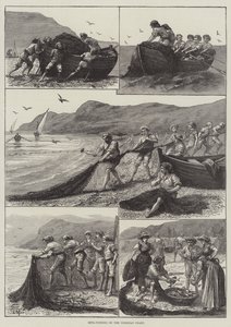 Reta-Fishing على ساحل الكورسيكان (نقش) بواسطة مدرسة اللغة الإنجليزية