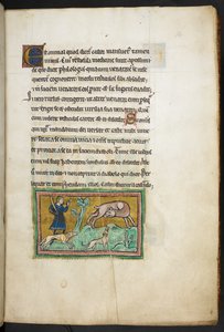 Royal 12 F.XIII، f.14 ذئب (؟) مع دم يخرج من فمه ، وصياد بالكلاب ، من روشستر بيستاري ، الربع الثاني من القرن الثالث عشر بواسطة مدرسة اللغة الإنجليزية