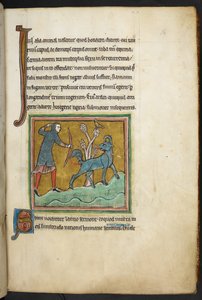رويال 12 واو XIII ، ص .16   صياد يطلق سهمًا على حيوان.  بستاري (صص. ٣-١٤١) ، لابيداري (صص. ١٤١ ظ - ١٤٩)  الربع الثاني من القرن الثالث عشر بواسطة مدرسة اللغة الإنجليزية