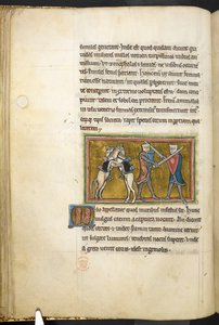 Royal 12 F.XIII، f.42v فارسان يتقاتلان بالسيوف على الأقدام ، بينما تتقاتل خيولهما على رجليهما الخلفيتين. من بستاري (صص. ٣-١٤١) ، لابيداري (صص. ١٤١ ظ - ١٤٩)  ، الربع الثاني من القرن الثالث عشر (ورق) بواسطة مدرسة اللغة الإنجليزية