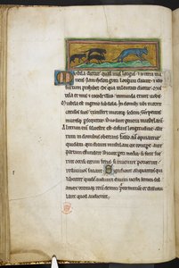 Royal 12 F.XIII ، ص .43 ص فئران تطارد قطة ، من بيستاري (صص. ٣-١٤١) ، لابيداري (صص. ١٤١ ظ - ١٤٩)  ، الربع الثاني من القرن الثالث عشر (ورق) بواسطة مدرسة اللغة الإنجليزية
