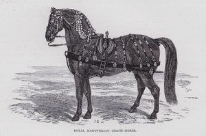 Royal Hanoverian Coach-Horse (engraving) بواسطة مدرسة اللغة الإنجليزية