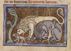 Royal MS 12 C XIX ، f.6r Lions ، من 