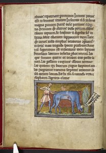 Royal MS 12 C XIX، f.7v Antelope، from 