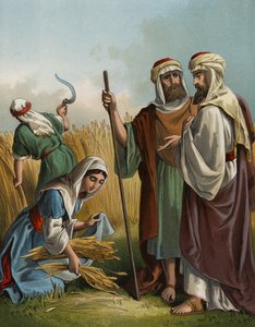 Ruth gleaning in the field of Boaz (chromolitho) بواسطة مدرسة اللغة الإنجليزية