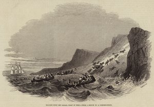 Sea-Lion hunt off Callao, Coast of Peru (engraving) بواسطة مدرسة اللغة الإنجليزية