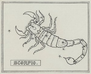 Signs of the zodiac: Scorpio (engraving) بواسطة مدرسة اللغة الإنجليزية