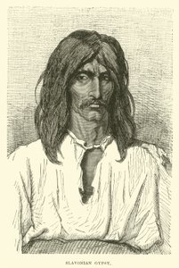 الغجر السلافوني بواسطة مدرسة اللغة الإنجليزية