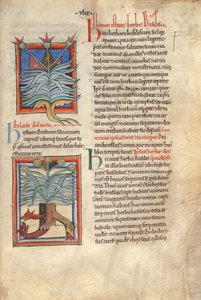 Sloane Ms 1975 fol.48 The Herb Basilica بواسطة مدرسة اللغة الإنجليزية