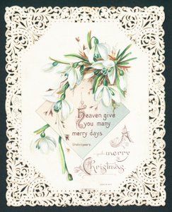 Snowdrops ، بطاقة عيد الميلاد بواسطة مدرسة اللغة الإنجليزية