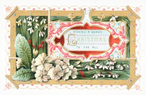 Snowdrops والزهور ، بطاقة عيد الميلاد بواسطة مدرسة اللغة الإنجليزية