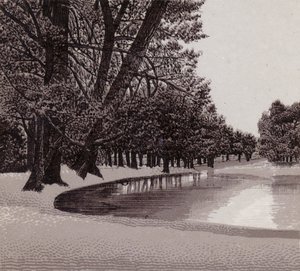 Sophia Gardens, Cardiff (litho) بواسطة مدرسة اللغة الإنجليزية