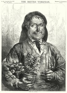 Story of a Flower (engraving) بواسطة مدرسة اللغة الإنجليزية