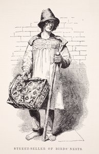 بائع أعشاش الطيور في الشارع ، رسم توضيحي من London Labour و London Poor بقلم Henry Mayhew ، حانة. 1862 بواسطة مدرسة اللغة الإنجليزية
