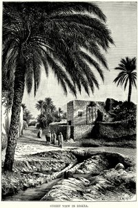 منظر الشارع في بسكرة (نقش) بواسطة مدرسة اللغة الإنجليزية