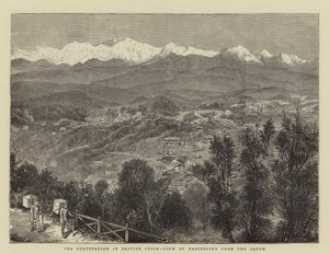 Tea Cultivation in British India, View of Darjeeling from the South (engraving) بواسطة مدرسة اللغة الإنجليزية