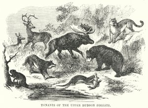 Tenants of the Upper Hudson Forests (engraving) بواسطة مدرسة اللغة الإنجليزية
